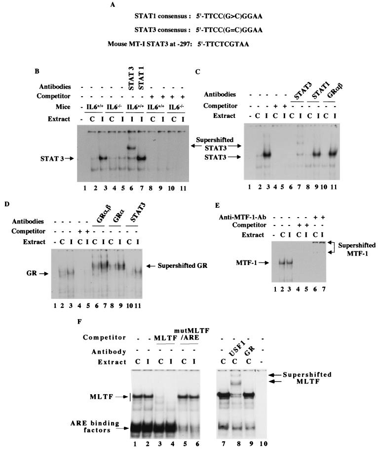 FIG. 6