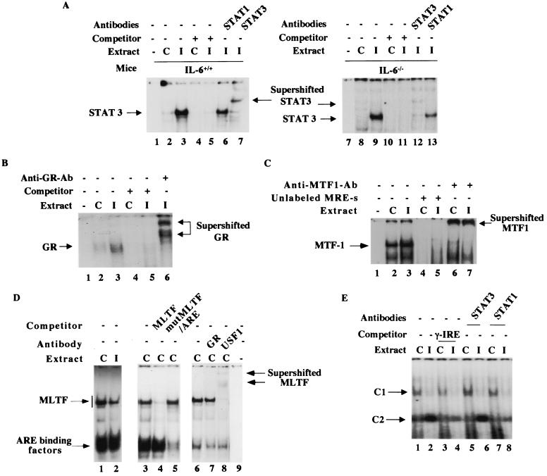 FIG. 7