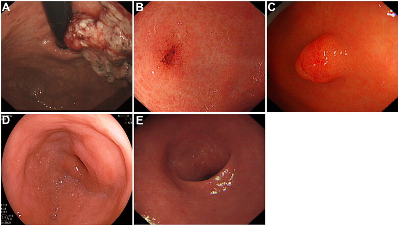 Figure 2.