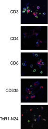 FIG. 6.