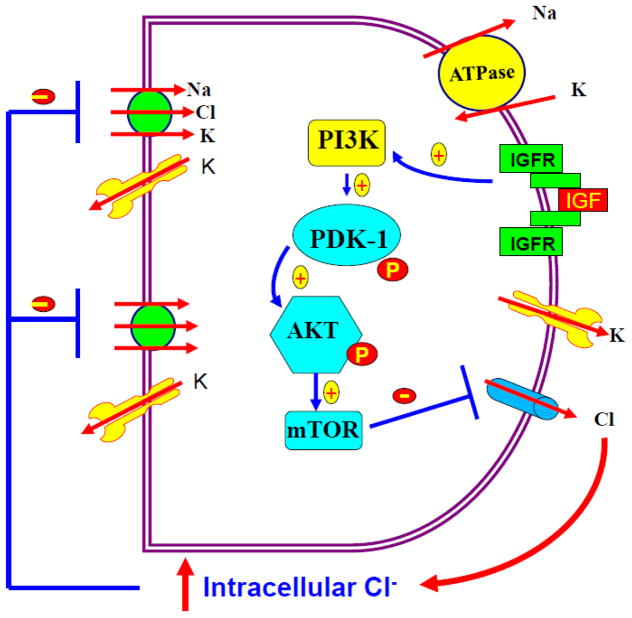 Fig. 10