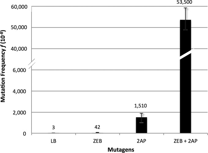 FIG 2