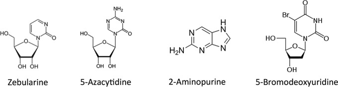 FIG 1