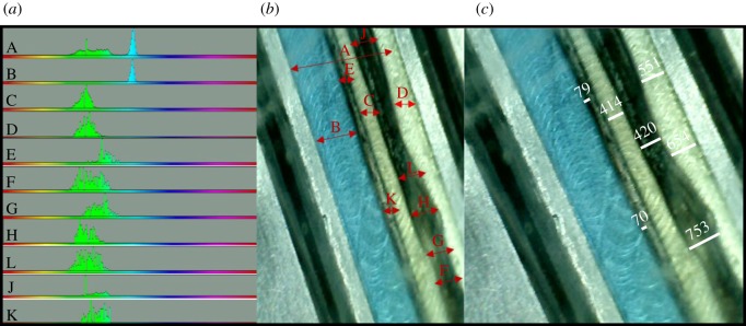 Figure 5.