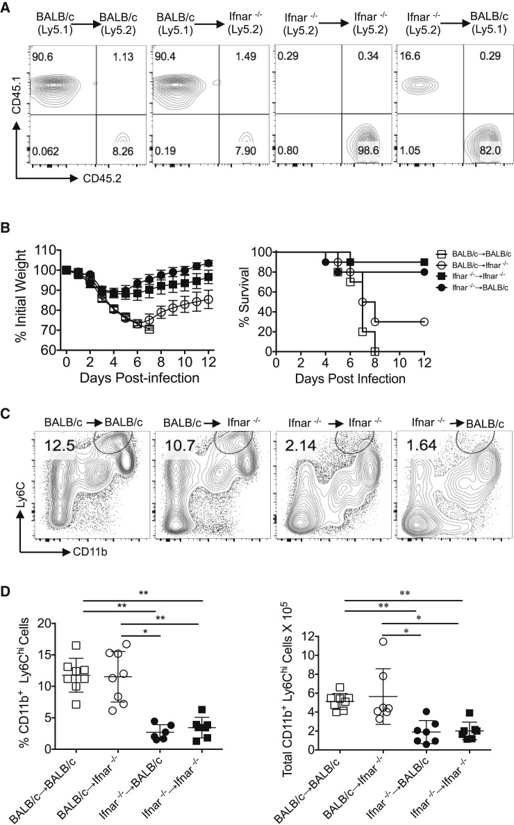 Figure 5