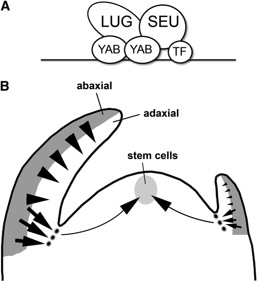 Figure 8.