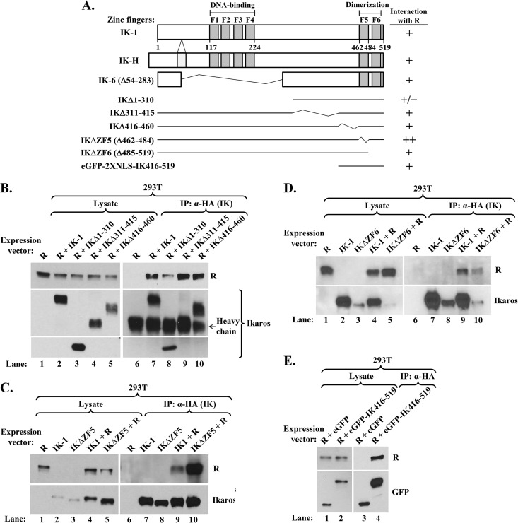 FIG 8