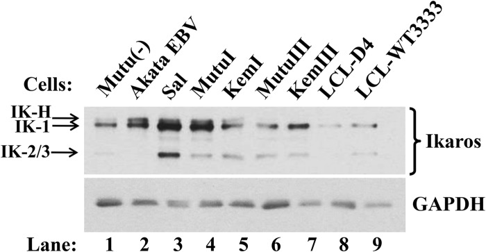 FIG 1