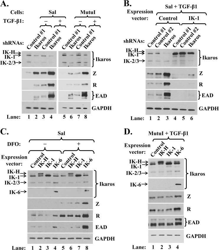 FIG 2