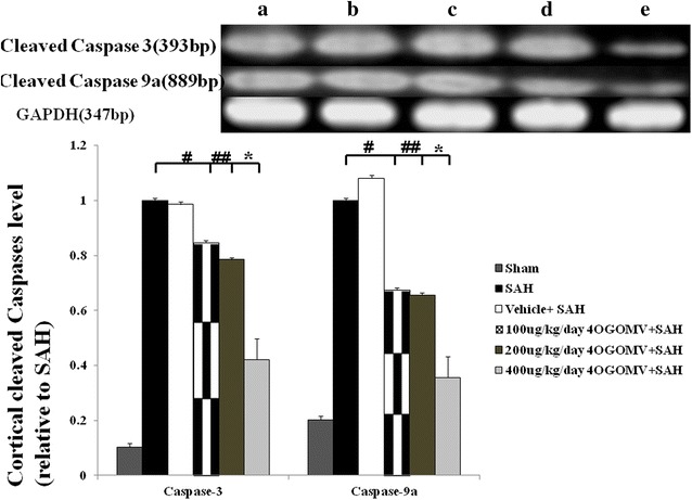 Fig. 6