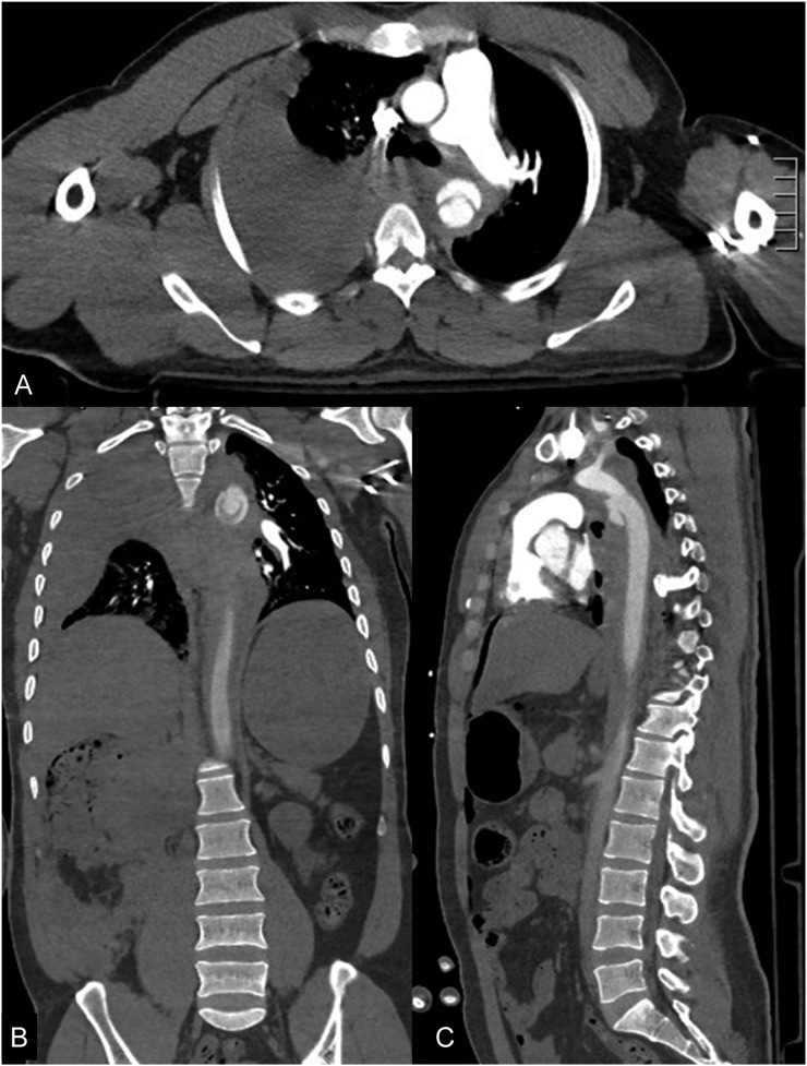 Figure 19.