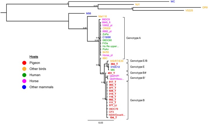 Fig 3