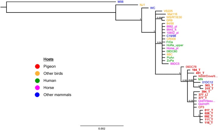 Fig 2