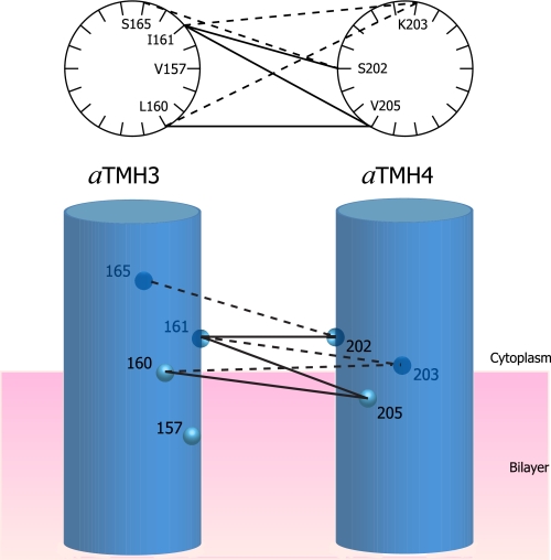 FIGURE 7.