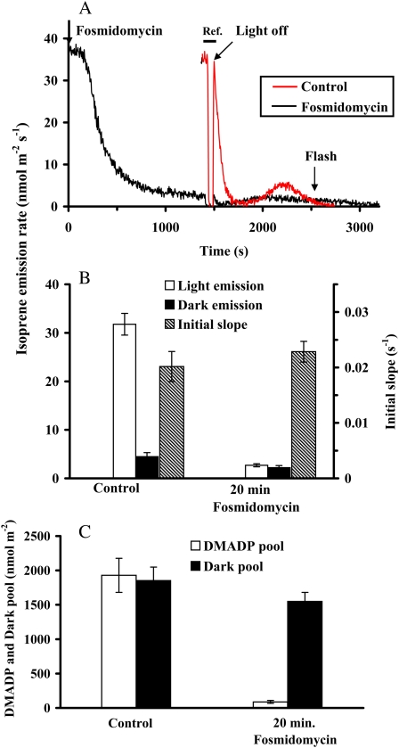 Figure 7.