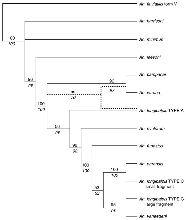 Fig. 5