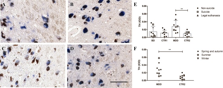 Fig. 3