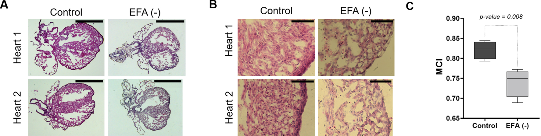 Figure 4: