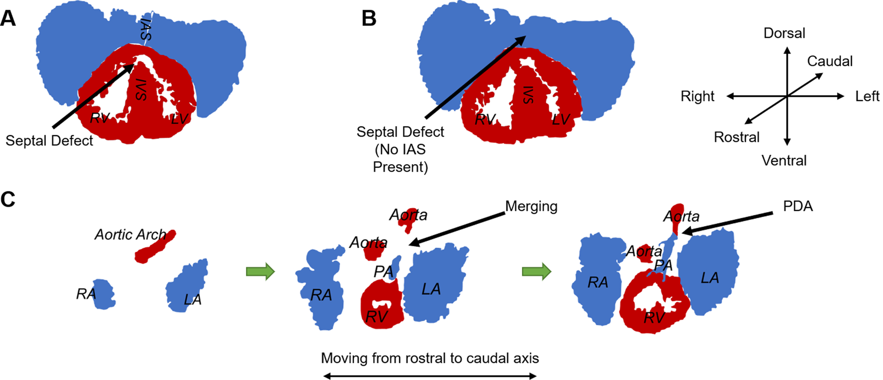 Figure 2: