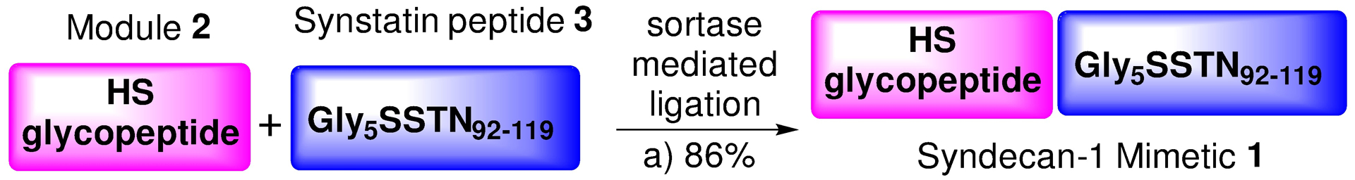 Scheme 3.