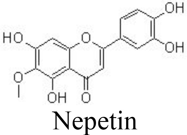 Inline graphic