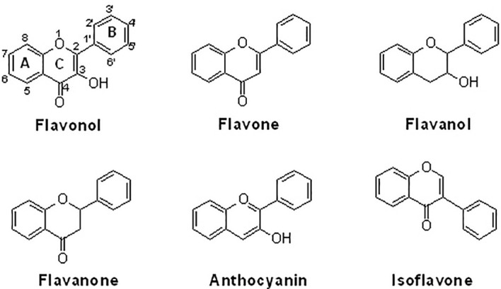 Figure 1