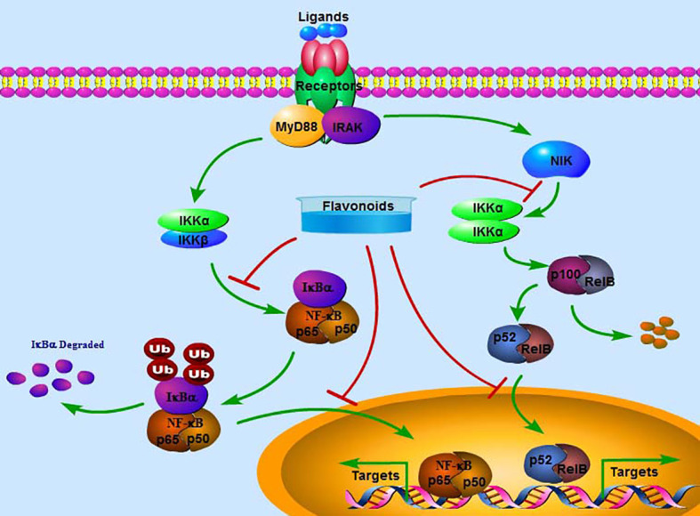 Figure 2