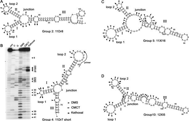 FIGURE 3.