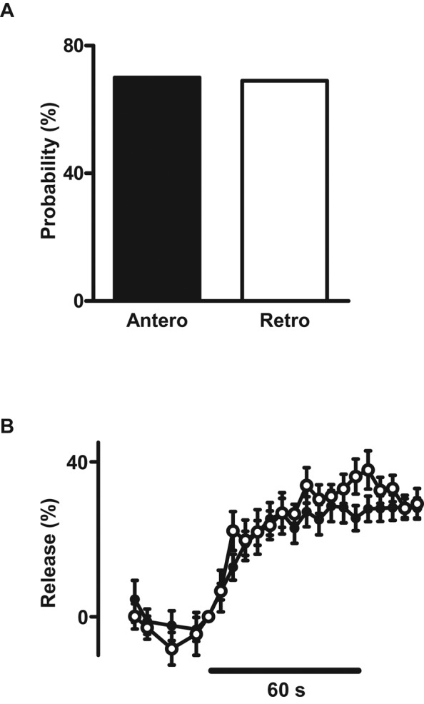 FIGURE 7: