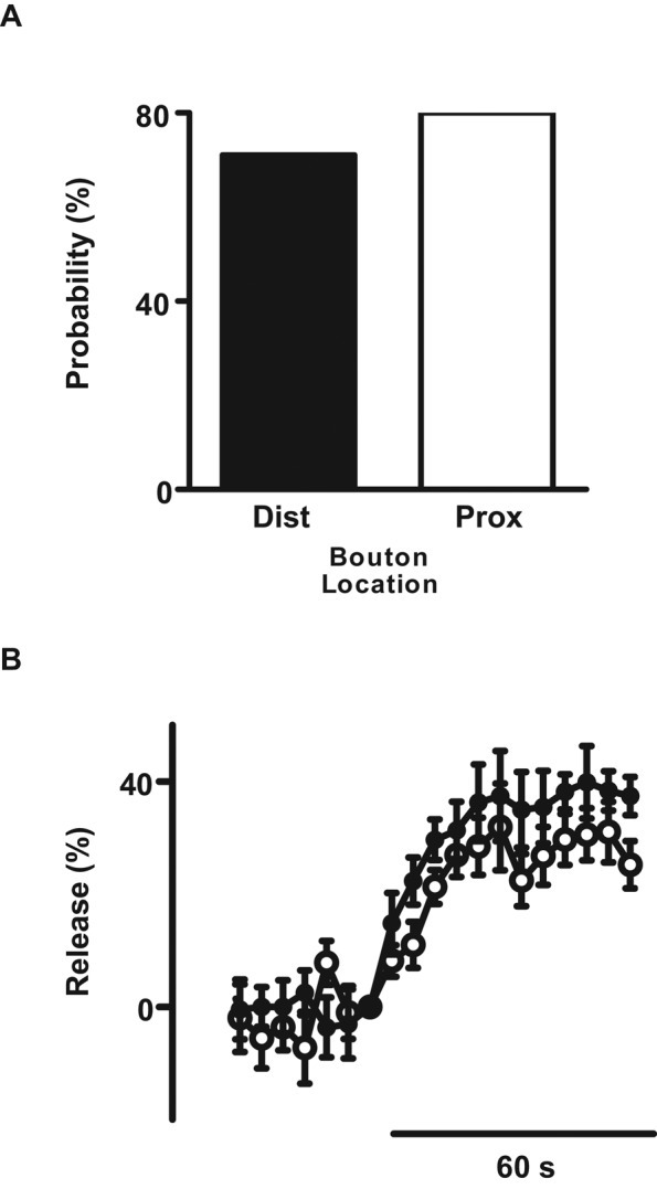 FIGURE 6: