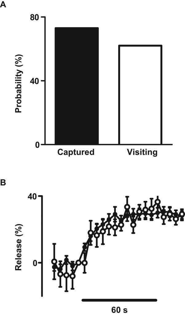 FIGURE 5: