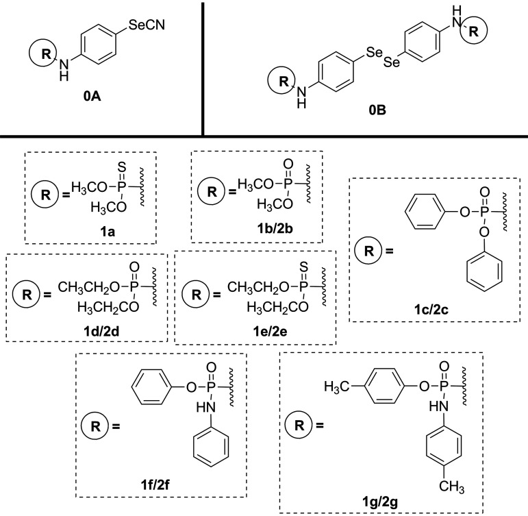 FIG 2