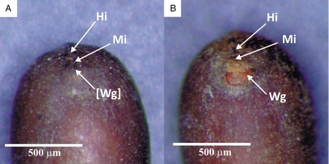 Fig. 9.