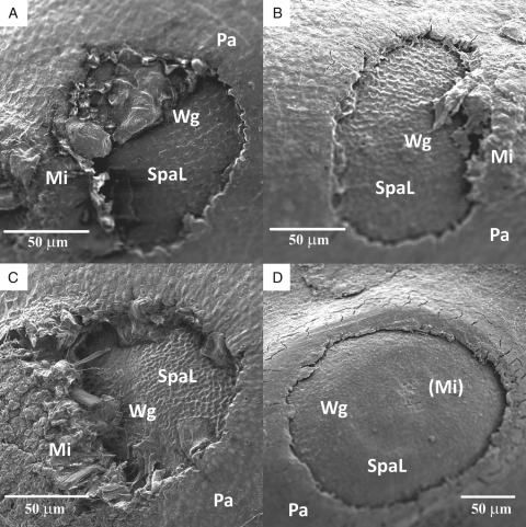 Fig. 8.