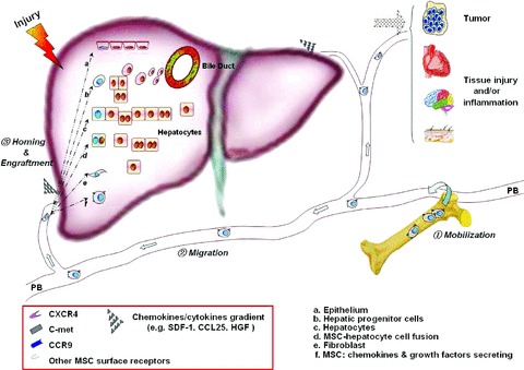 Fig 11