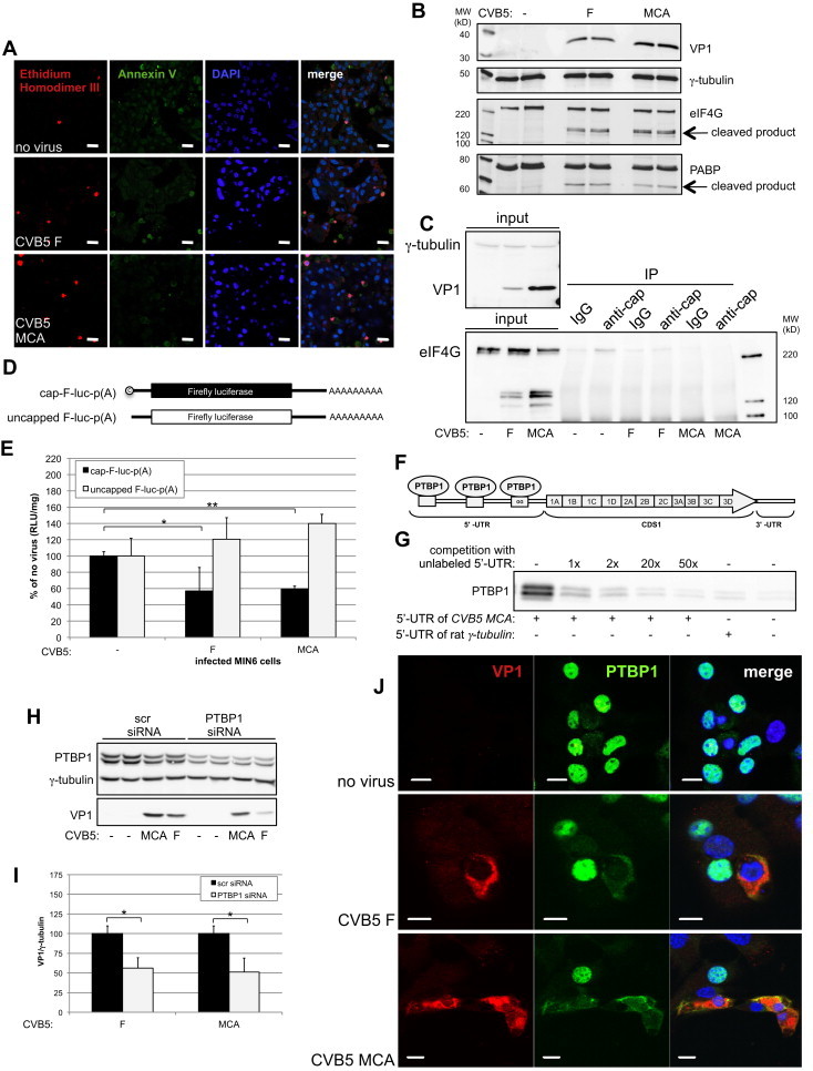 Figure 6