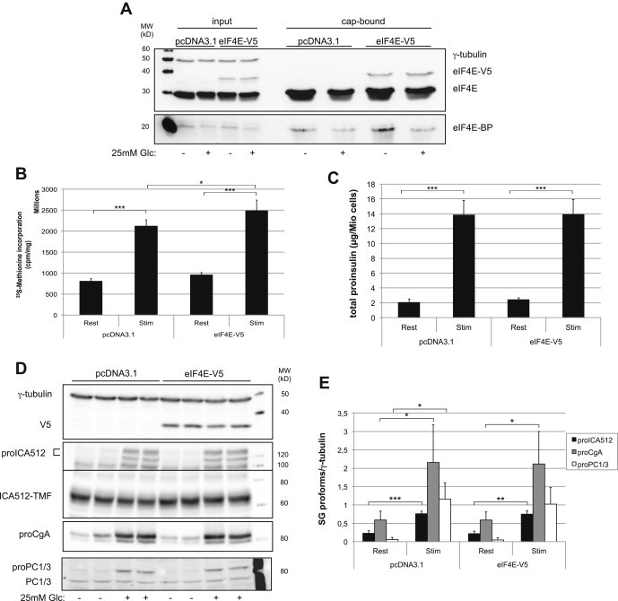 Figure 5