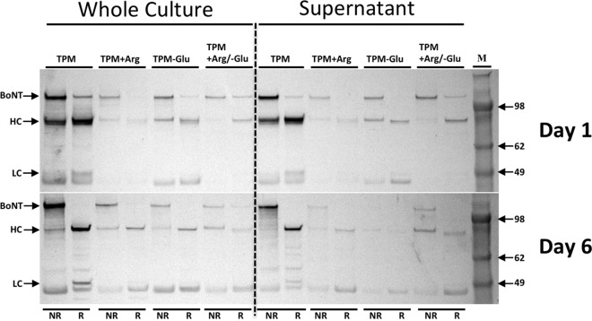 FIG 2