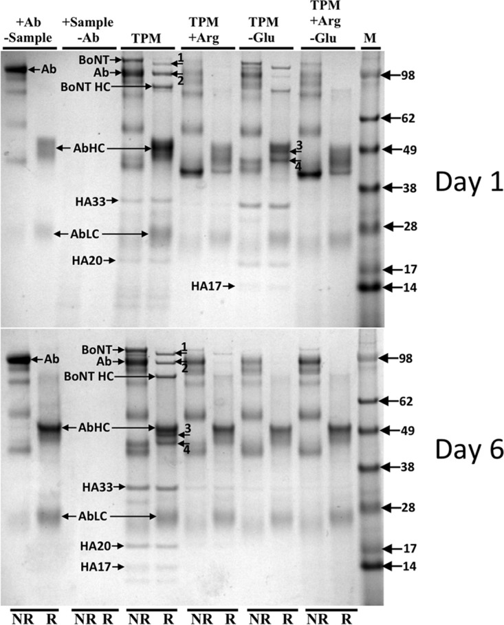 FIG 3