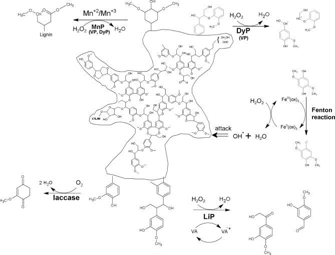 Figure 4.