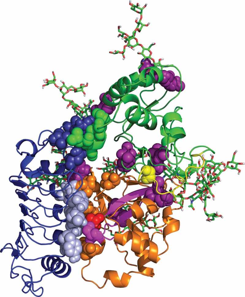 Figure 2: