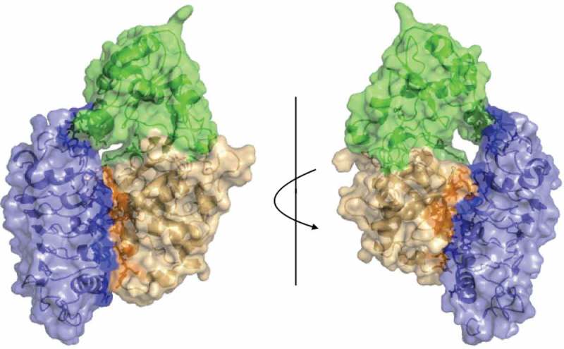 Figure 3.