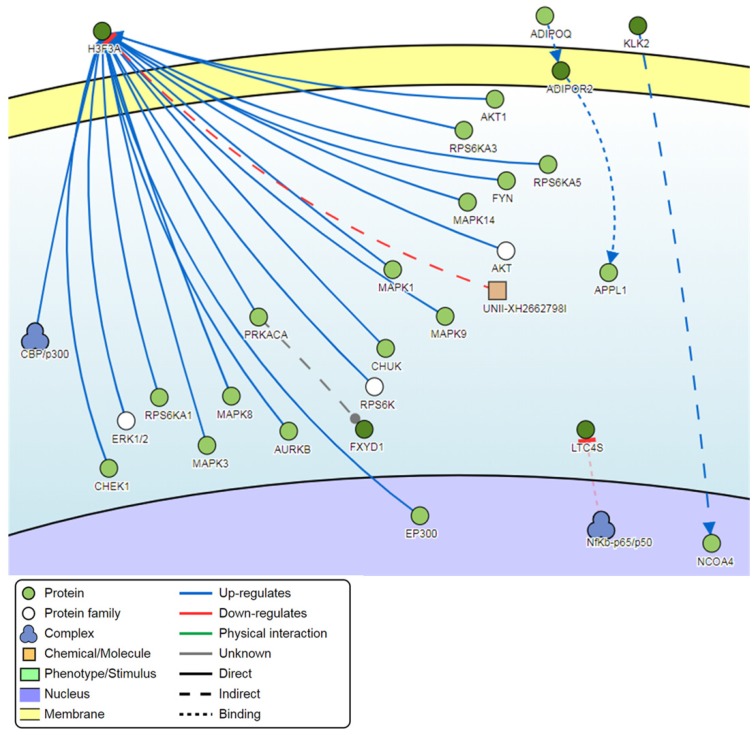 Figure 13