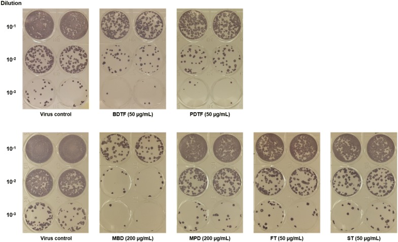 Fig. 6