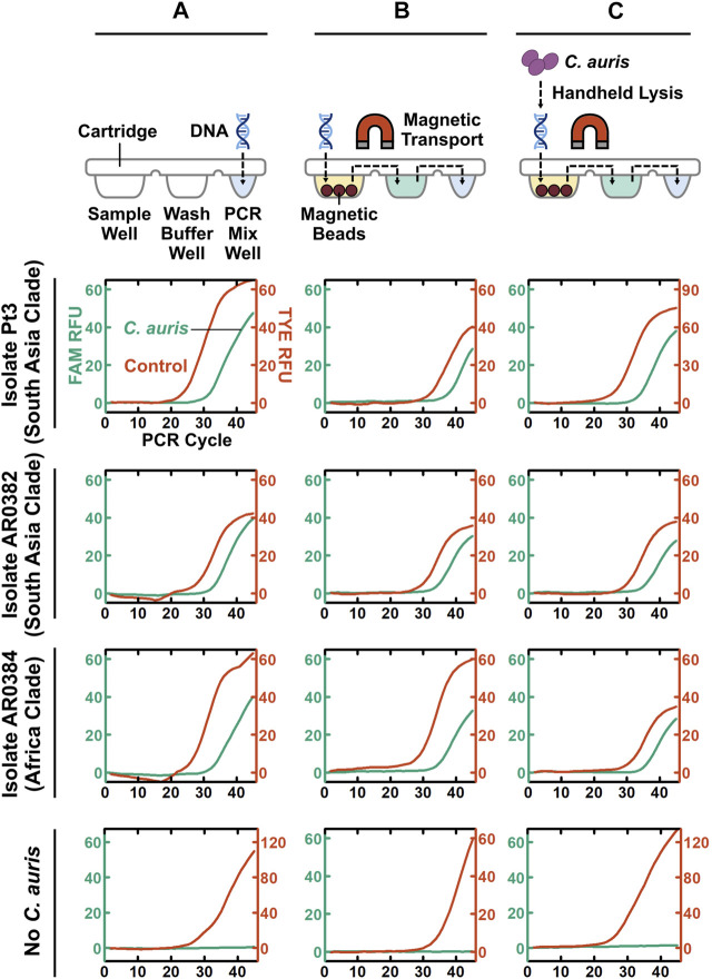 FIGURE 3