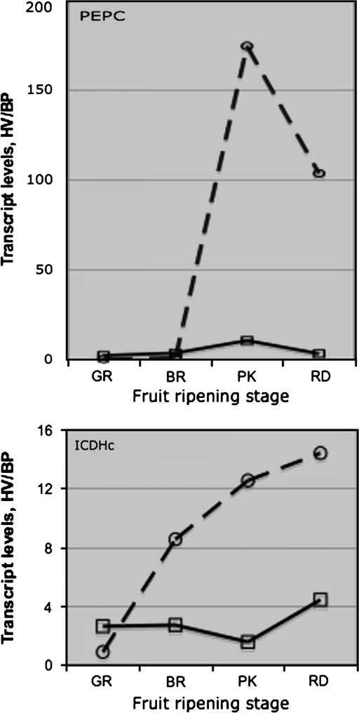 Fig. 7.