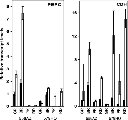 Fig. 6.