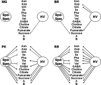 Fig. 8.