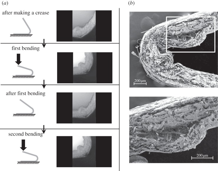 Figure 18.