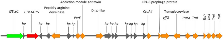 Figure 7